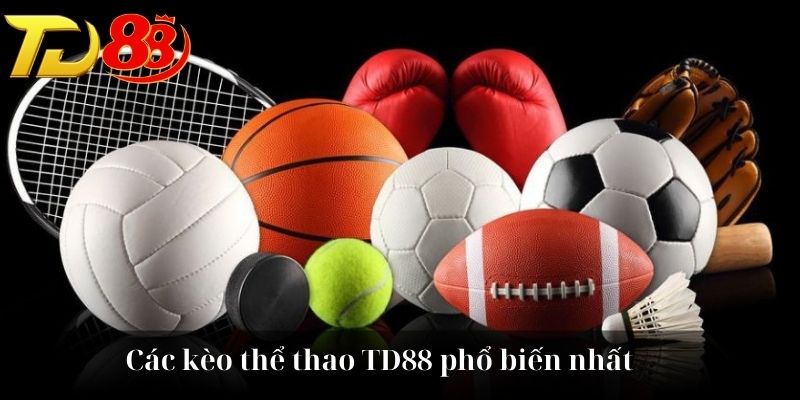 Các kèo thể thao TD88 phổ biến nhất