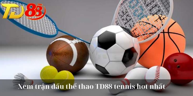 Xem trận đấu thể thao TD88 tennis hot nhất
